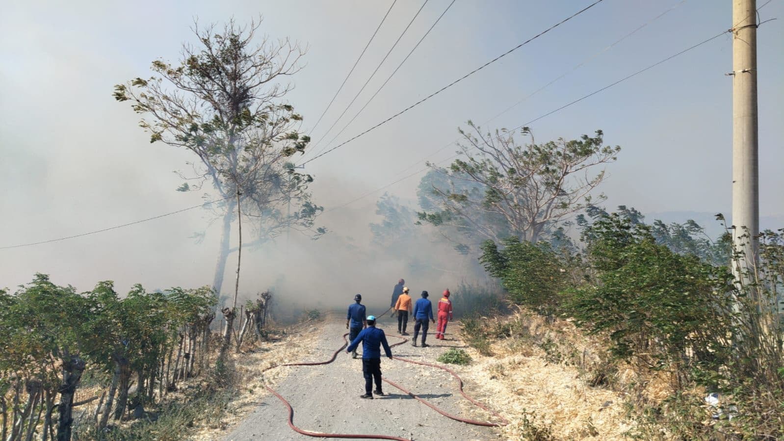 BNPB Catat Karhutla, Kekeringan, dan Banjir di Sejumlah Daerah
