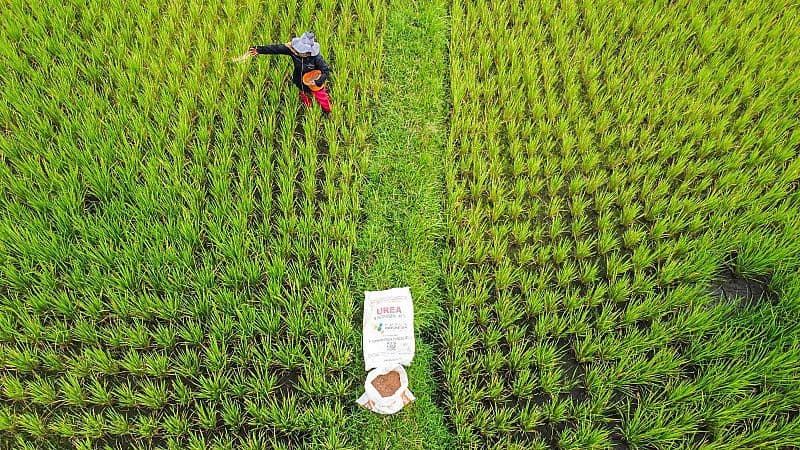 Hari Tani 2026, Pupuk Indonesia Pastikan Pupuk Petani Makin Terjangkau