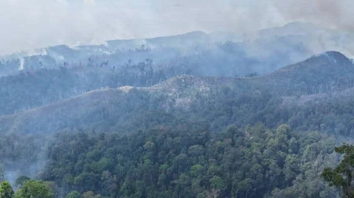 Kemenkes Kerahkan 1.898 Nakes dan Jutaan Masker untuk Hadapi Dampak Karhutla